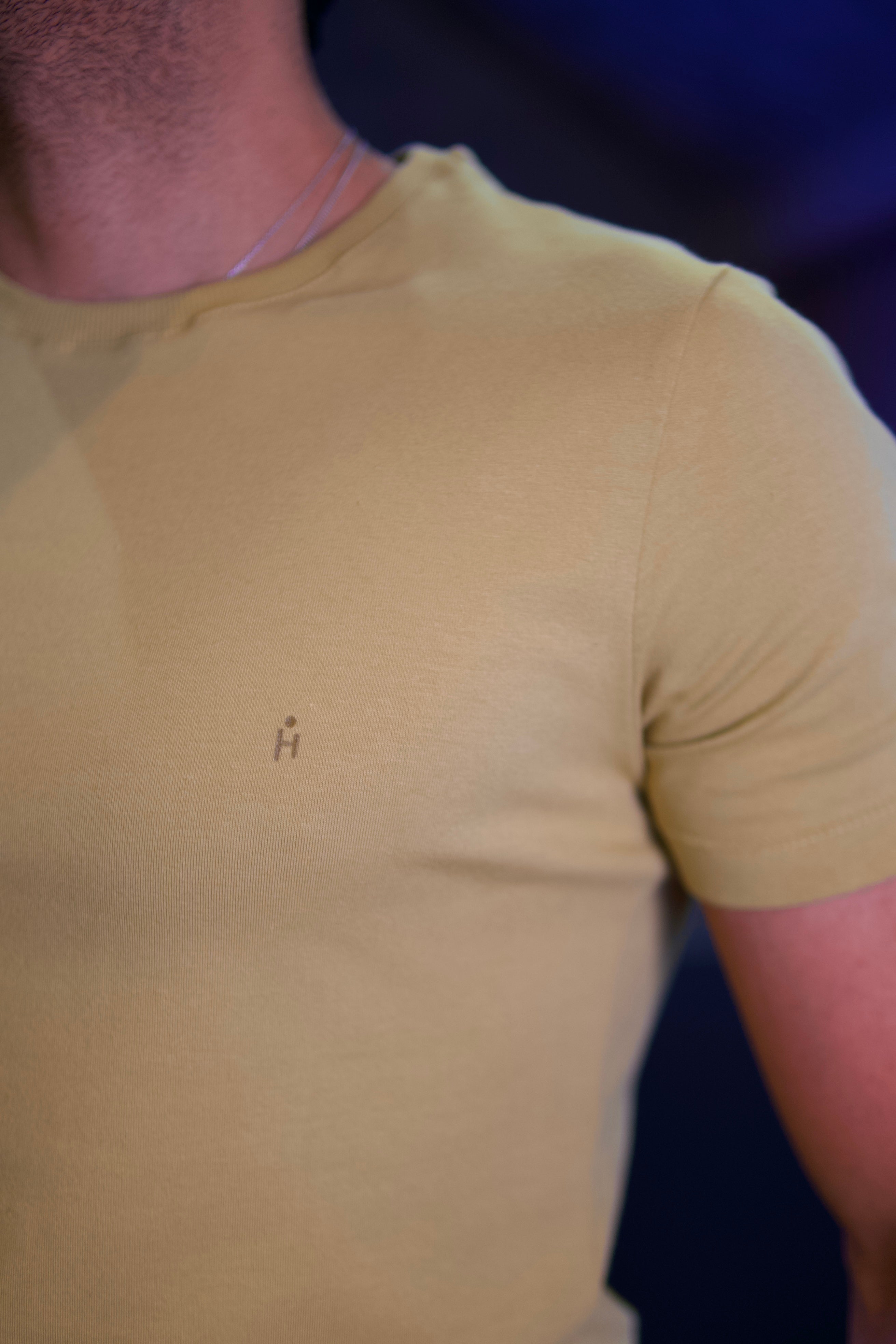 CAMISETA BÁSICA PONTO H MACADAMIA