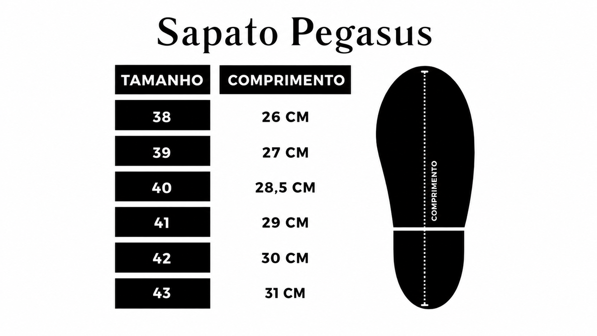 LOAFER PEGASUS ARMIATHO MARROM