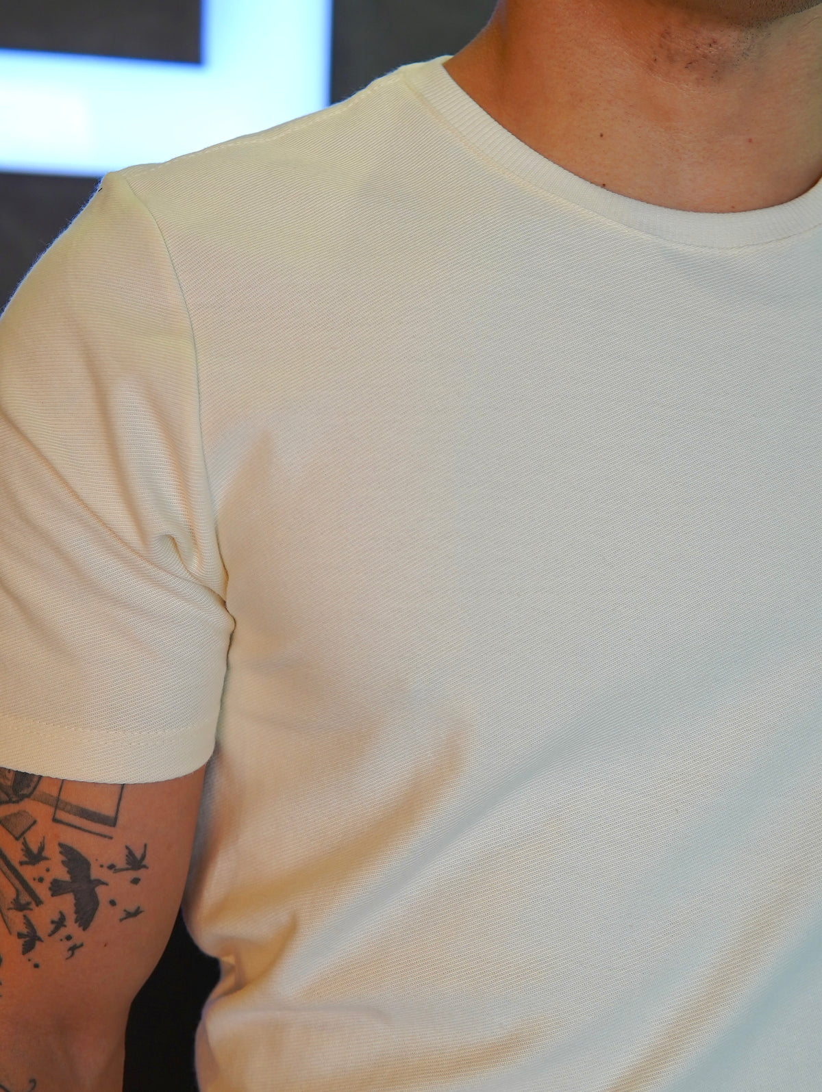 CAMISETA REGULAR DLZ OFF WHITE