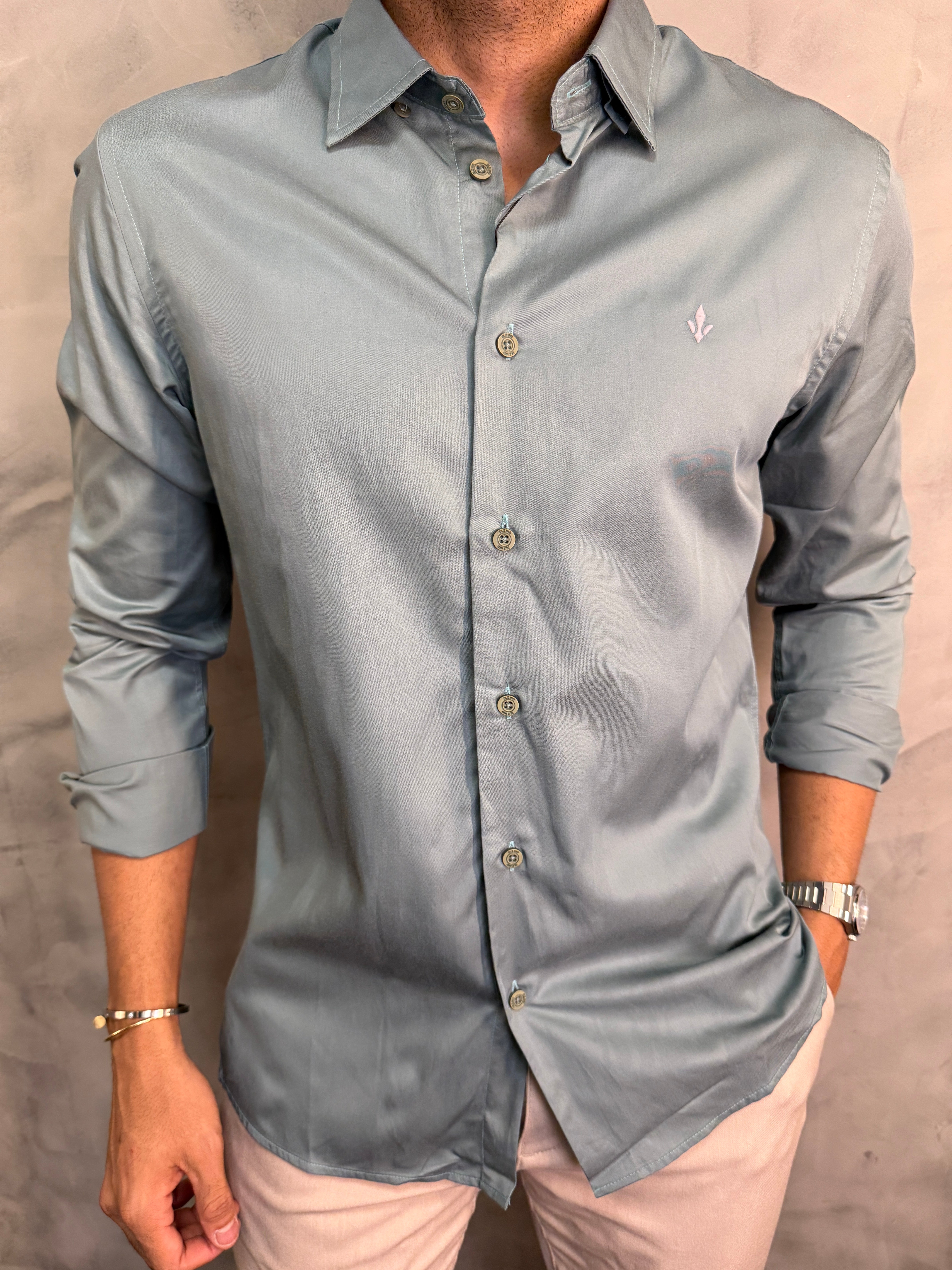 CAMISA M/L ALGODÃO EGÍPCIO SLIM SELECT DLZ VERDE SAVANA