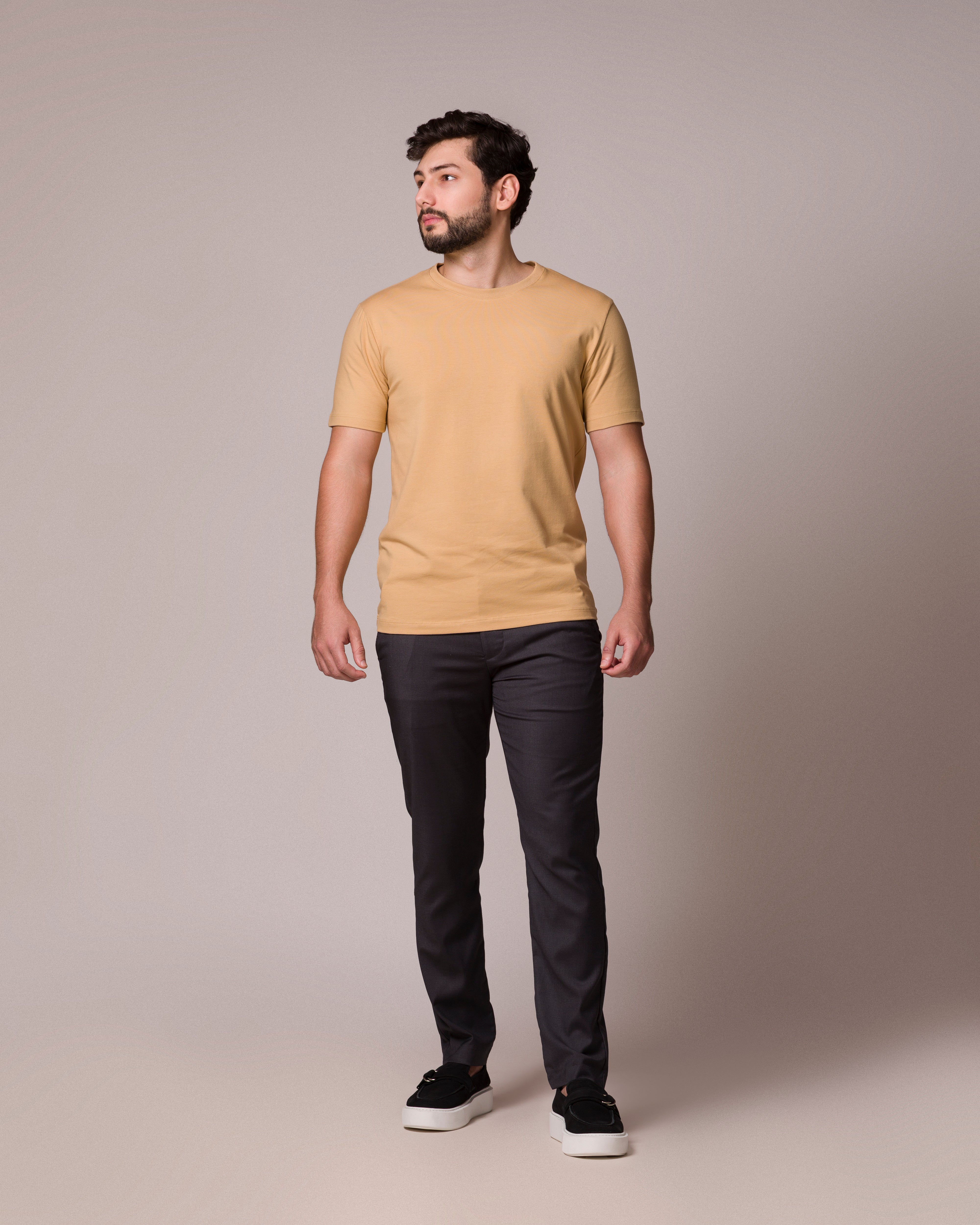 CAMISETA BÁSICA PONTO H BEGE
