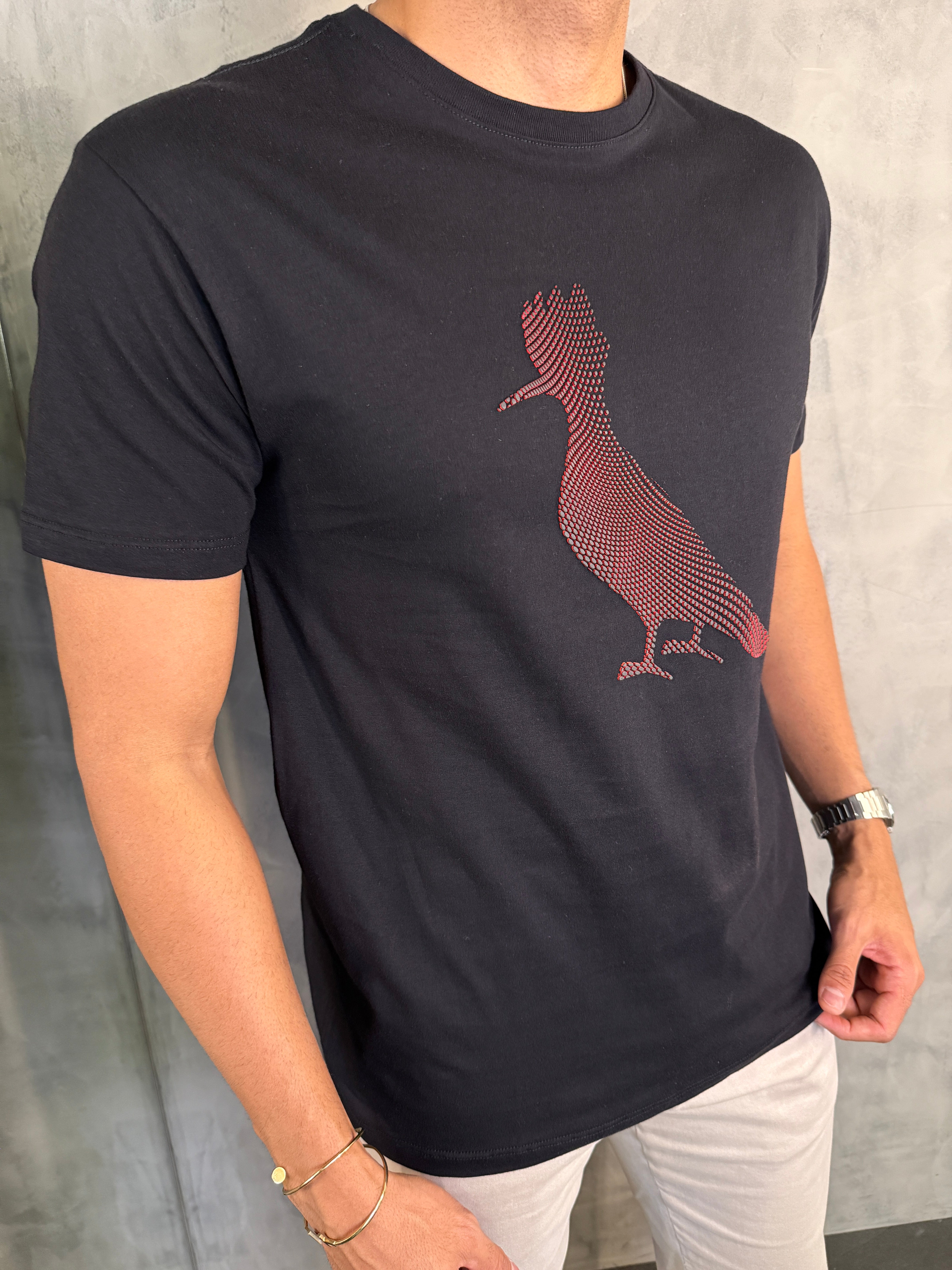 CAMISETA ESTAMPADA PICA PAU PELÍCULA RESERVA PRETO