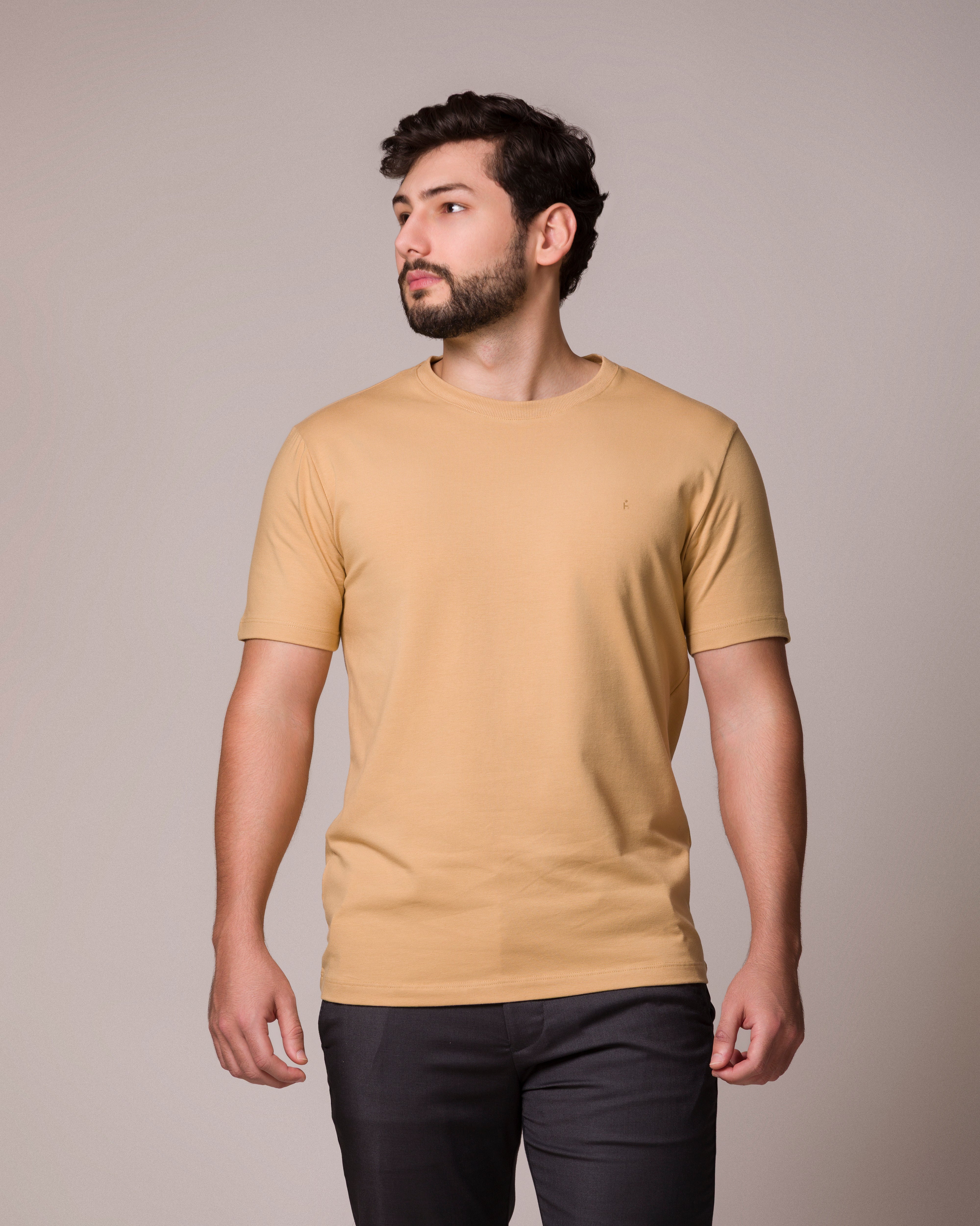 CAMISETA BÁSICA PONTO H BEGE