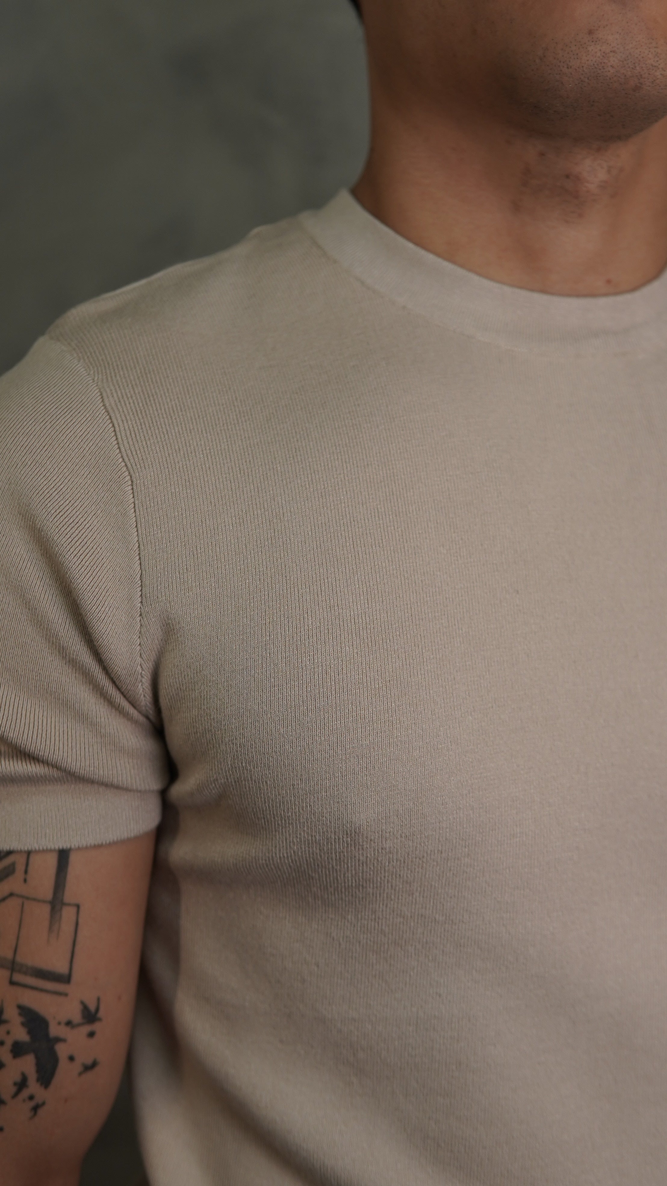 CAMISETA TRICOT GOLA REDONDA PONTO H BEGE