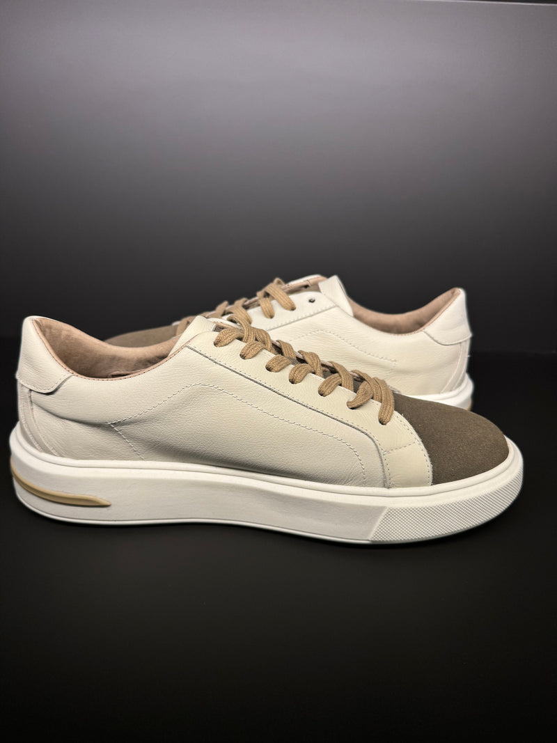 SNEAKER BASIC LINHA SHELBY FLOTER/CAMURÇA PONTO H AREIA/TAUPE